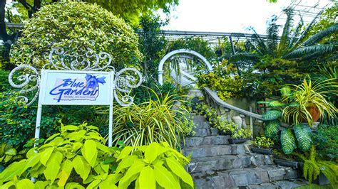 affordable events place in quezon city|Blue Gardens .